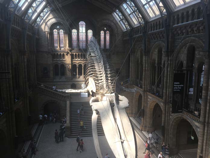 Museo de historia natural de Londres.